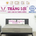 Nệm Thắng Lợi-BoBo Than Hoạt Tính-100% Cao Su Thiên Nhiên