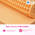 Nệm 100% Cao Su Thiên Nhiên Nhiên SuSu-Original