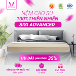 Nệm Cao Su Thiên Nhiên 100% Thắng Lợi SiSi-Advanced