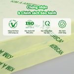 America-01-scaled (1)