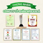 America-01-scaled (1)