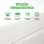 NỆM KIM Á CLASSIC