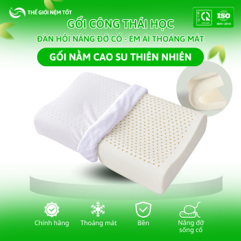 Gối nằm cao su thiên nhiên công thái học chống đau vai gáy