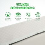 NỆM KIM Á latex (1)