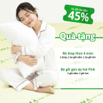 NỆM KIM Á HOẠT TÍNH