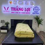 NỆM NON THẮNG LỢI