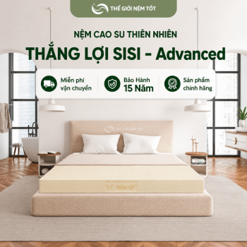 Nệm cao su thiên nhiên thắng lợi sisi
