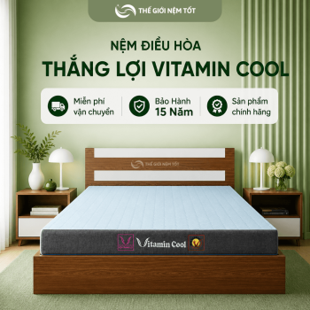 Nệm Điều Hòa Thắng Lợi Vitamin Cool