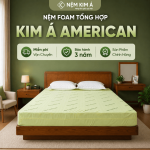 Thiết kế chưa có tên (55)