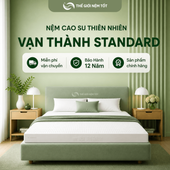 Nệm cao su thiên nhiên vạn thành standard