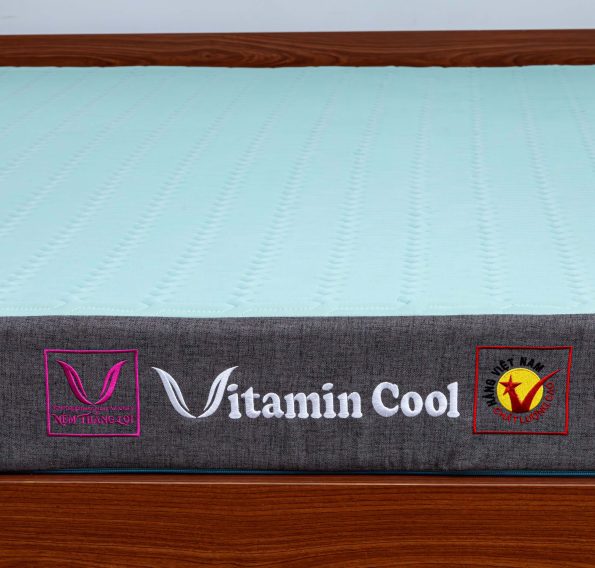 Nệm Điều Hòa Thắng Lợi Vitamin Cool