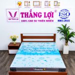 Nệm Điều Hòa Thắng Lợi Vitamin Cool