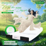 NỆM KIM Á CLASSIC