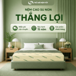 Nệm cao su non thắng lợi