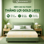 nệm cao su thắng lợi gold latex