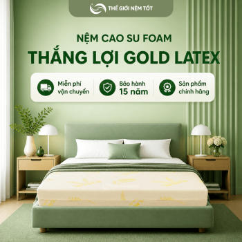 nệm cao su thắng lợi gold latex