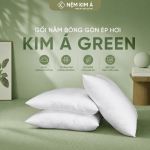 Thiết kế chưa có tên (0)