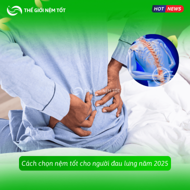 Cách chọn nệm tốt cho người đau lưng năm 2025 – Bí quyết từ Thế Giới Nệm Tốt