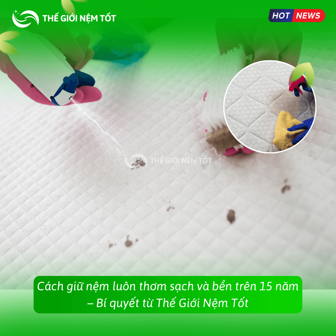 Cách giữ nệm luôn thơm sạch và bền trên 10 năm – Bí quyết từ Thế Giới Nệm Tốt (1)
