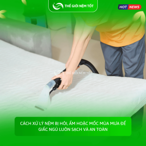 Cách xử lý nệm bị hôi, ẩm hoặc mốc mùa mưa để giấc ngủ luôn sạch và an toàn