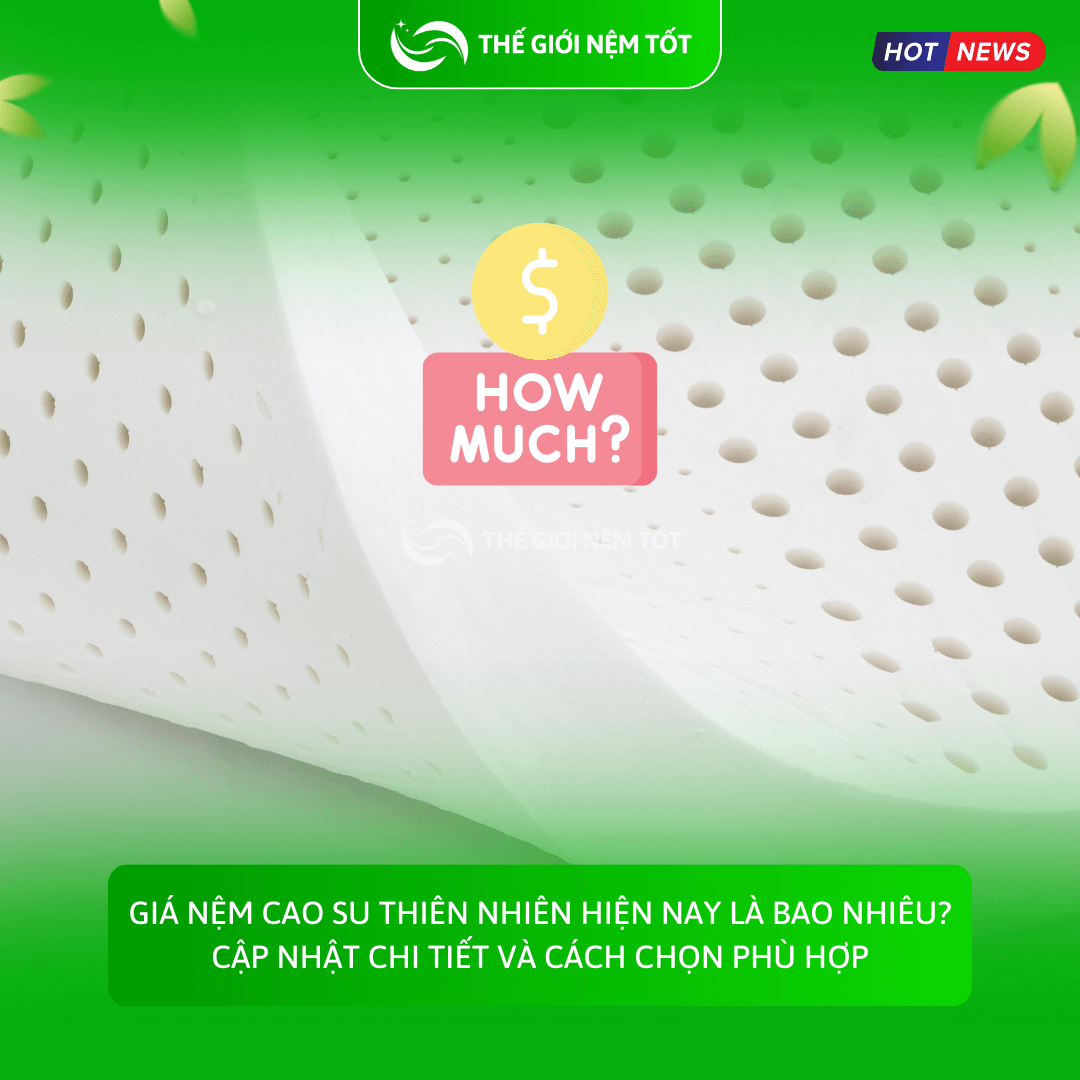 Giá nệm cao su thiên nhiên hiện nay là bao nhiêu? Cập nhật chi tiết và cách chọn phù hợp