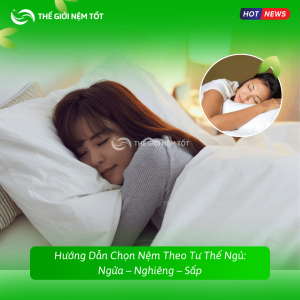 Hướng Dẫn Chọn Nệm Theo Tư Thế Ngủ: Ngửa – Nghiêng – Sấp