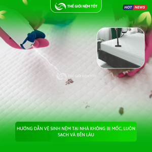 Hướng dẫn vệ sinh nệm tại nhà không bị mốc, luôn sạch và bền lâu