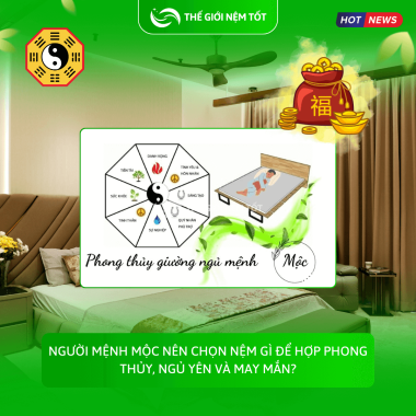 NGƯỜI MỆNH MỘC NÊN CHỌN NỆM GÌ ĐỂ HỢP PHONG THỦY, NGỦ YÊN VÀ MAY MẮN?