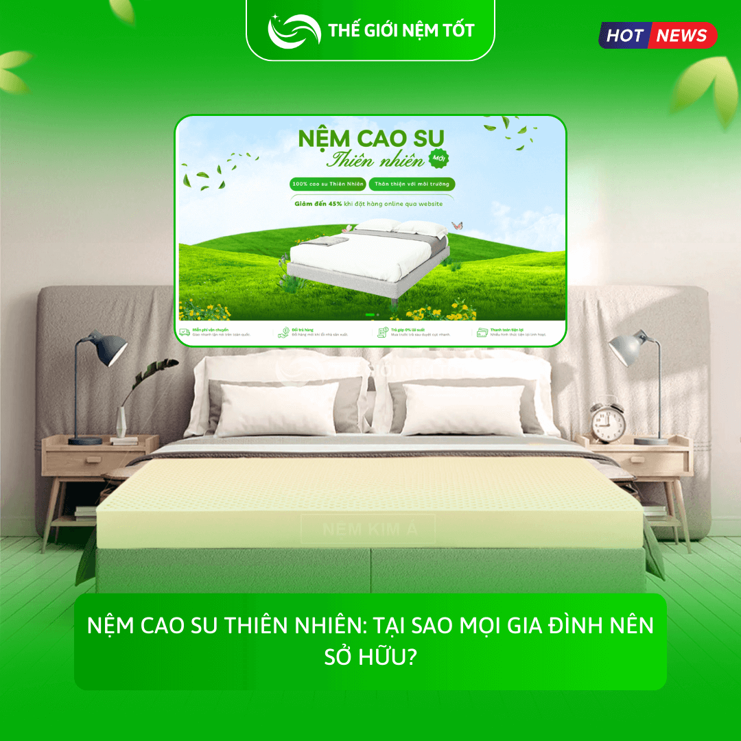 Nệm Cao Su Thiên Nhiên: Tại Sao Mọi Gia Đình Nên Sở Hữu?