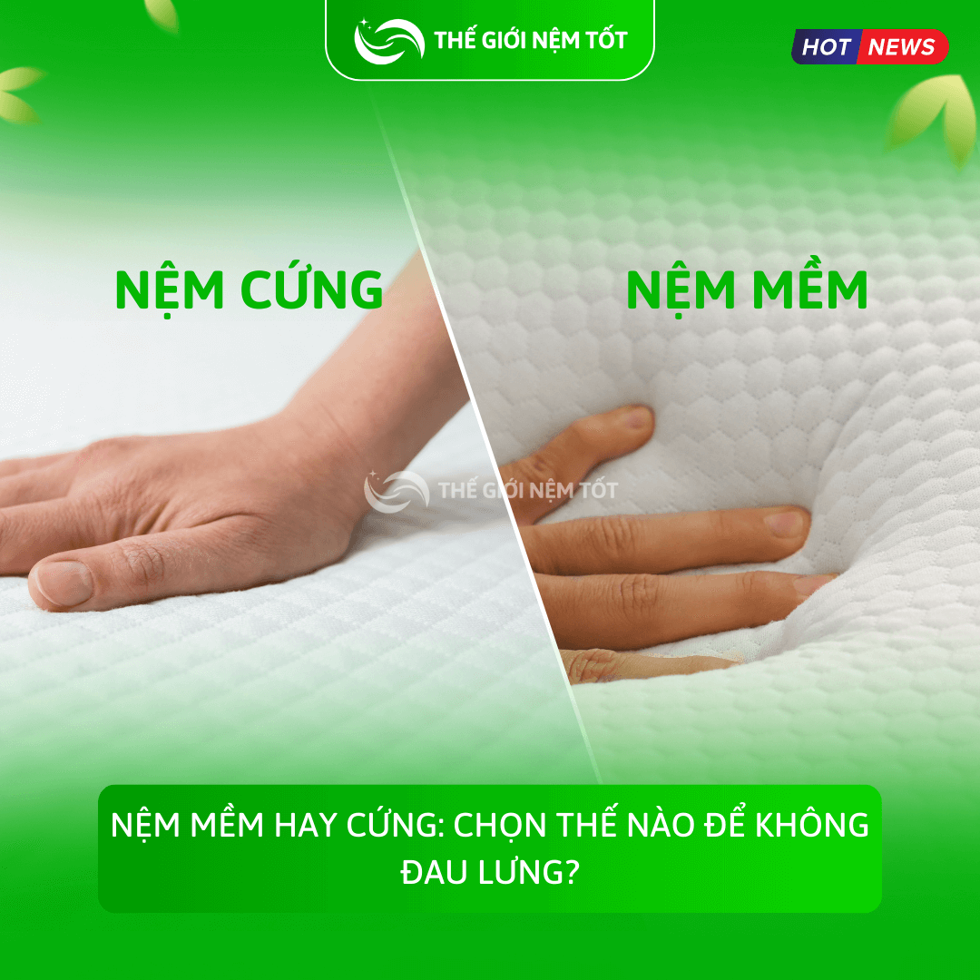 Nệm Mềm Hay Cứng Chọn Thế Nào Để Không Đau Lưng (1)