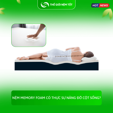 Nệm Memory Foam Có Thực Sự Nâng Đỡ Cột Sống?