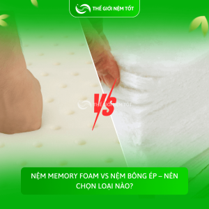 Nệm Memory Foam vs Nệm bông ép – Nên chọn loại nào?