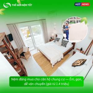 Nệm đáng mua cho căn hộ chung cư — Êm, gọn, dễ vận chuyển (giá từ 1.4 triệu)