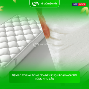 Nệm lò xo hay bông ép – nên chọn loại nào cho từng nhu cầu