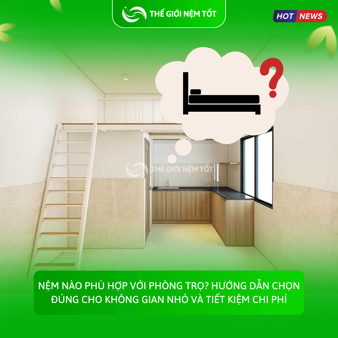 Nệm nào phù hợp với phòng trọ Hướng dẫn chọn đúng cho không gian nhỏ và tiết kiệm chi phí (1)