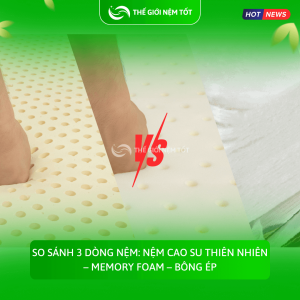 So sánh 3 dòng nệm Nệm cao su thiên nhiên – Memory Foam – Bông ép (1)