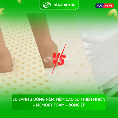 So sánh 3 dòng nệm: Nệm cao su thiên nhiên – Memory Foam – Bông ép