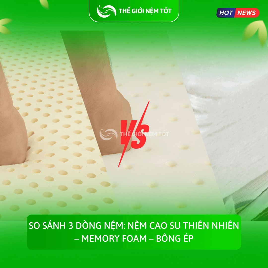So sánh 3 dòng nệm Nệm cao su thiên nhiên – Memory Foam – Bông ép (1)