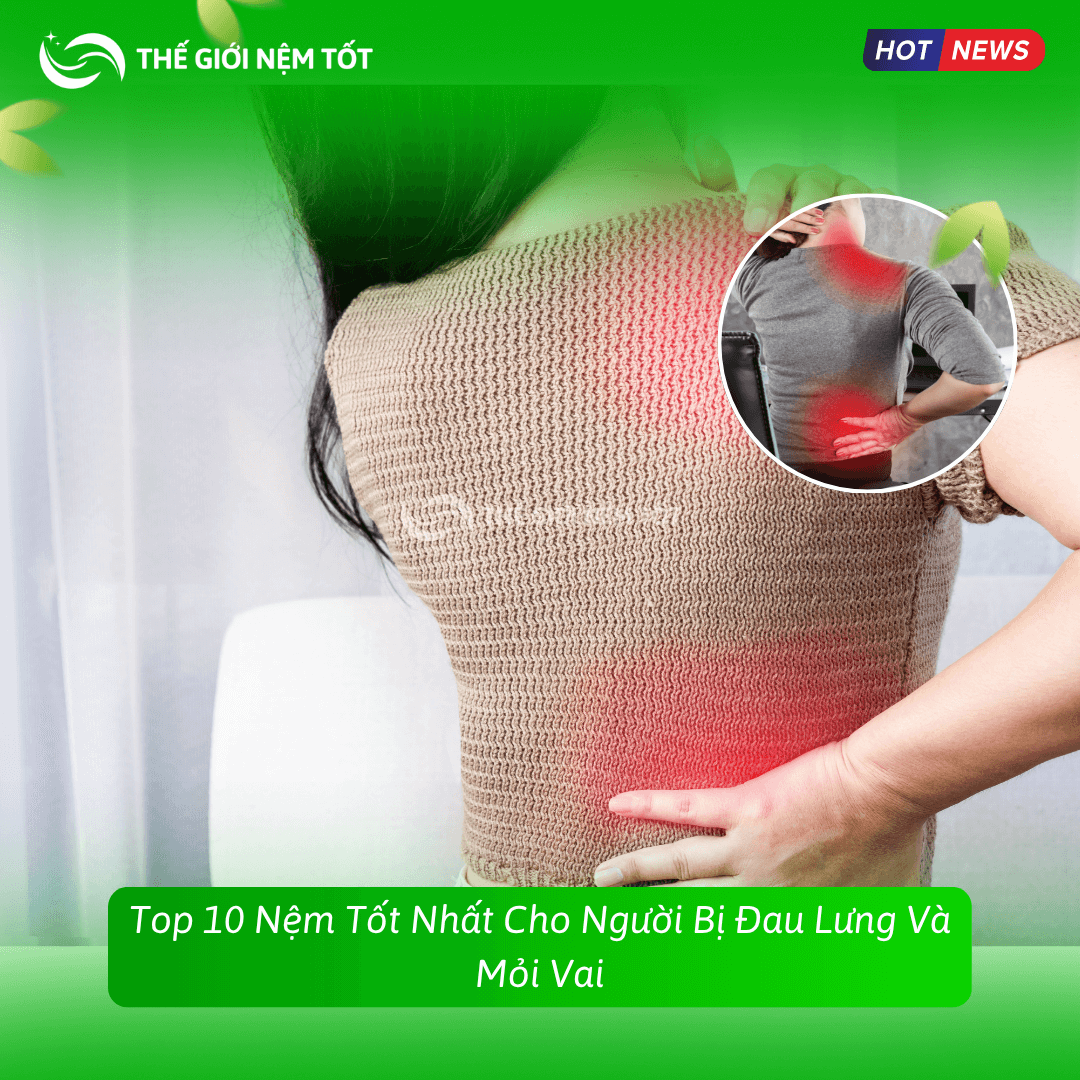 Top 10 Nệm Tốt Nhất Cho Người Bị Đau Lưng Và Mỏi Vai