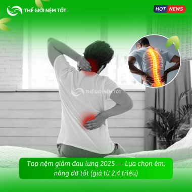 Top nệm giảm đau lưng 2025 — Lựa chọn êm, nâng đỡ tốt (giá từ 2.4 triệu)