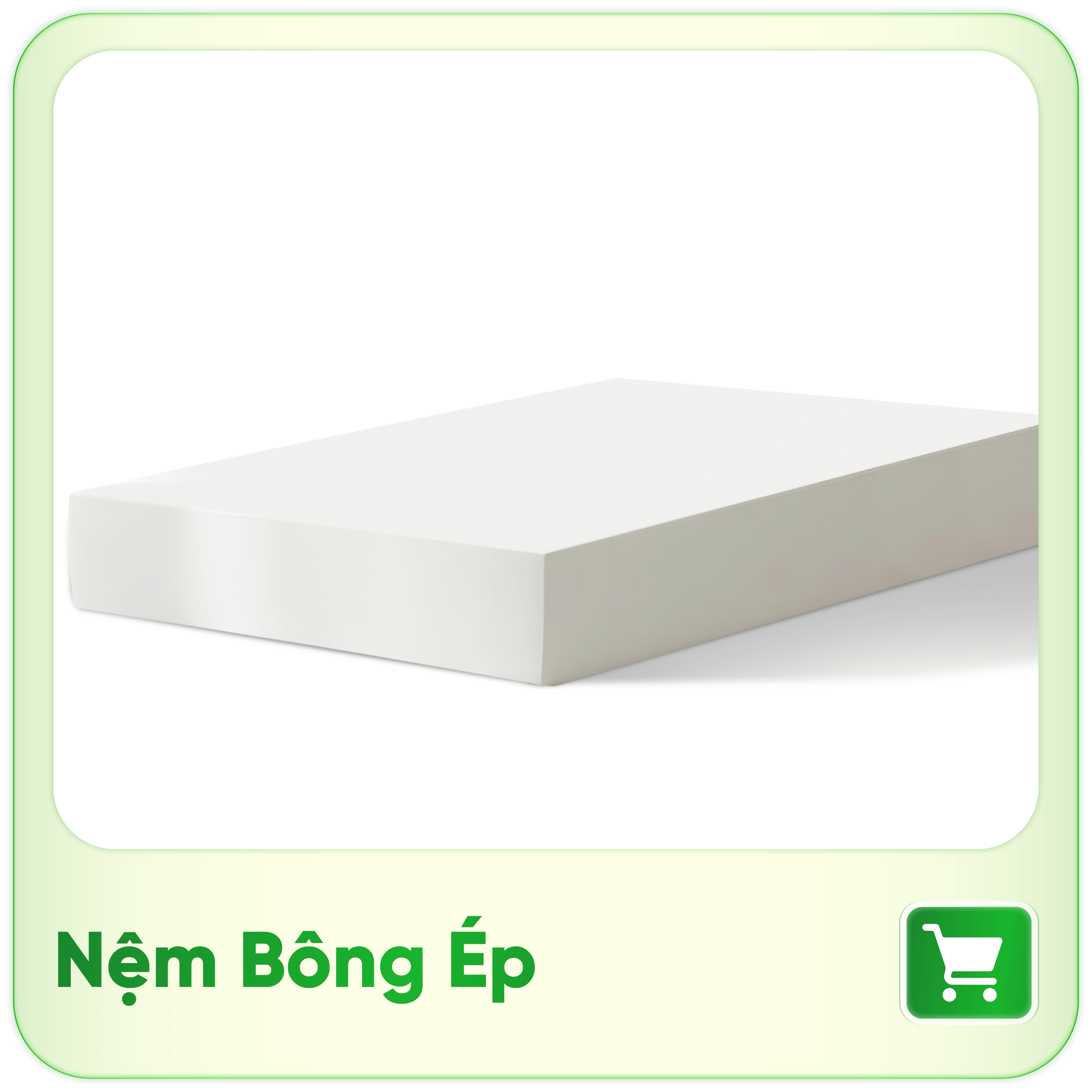 Nệm bông (gòn) ép