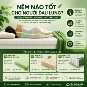 Nệm cao su non là gì? Giải đáp chi tiết từ A–Z cho người mua năm 2026