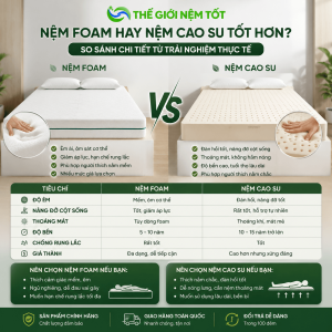 Nệm cao su non là gì? Giải đáp chi tiết từ A–Z cho người mua năm 2026