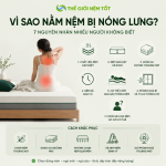 Vì Sao Nằm Nệm Bị Nóng Lưng? 7 Nguyên Nhân Và Cách Khắc Phục