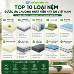 Top 10 Loại Nệm Tốt Được Ưa Chuộng Nhất Hiện Nay 2026