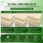 So Sánh Nệm Liên Á Classic, Vạn Thành Standard Và Kim Cương Happy Gold: Nên Chọn Loại Nào?
