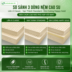 Phân loại nệm theo chất liệu và công nghệ nâng đỡ: chọn nệm phù hợp với cơ thể