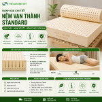 Đánh Giá Nệm Vạn Thành Standard: Ưu Nhược Điểm Và Cảm Giác Nằm