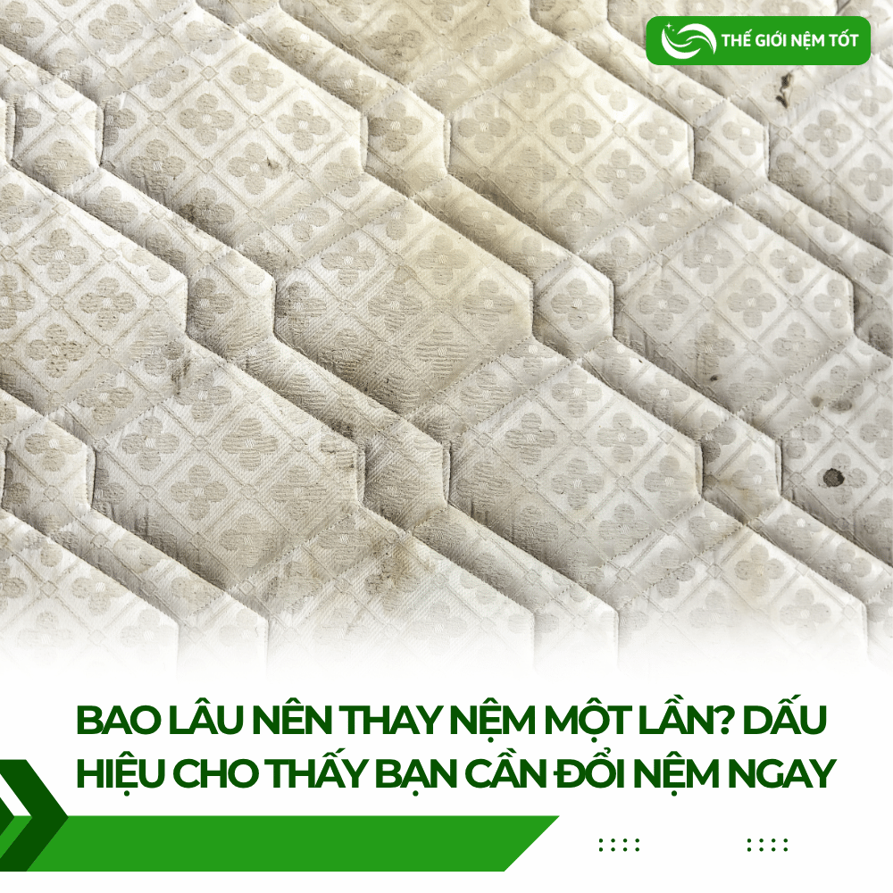 Bao Lâu Nên Thay Nệm Một Lần? Dấu Hiệu Cho Thấy Bạn Cần Đổi Nệm Ngay